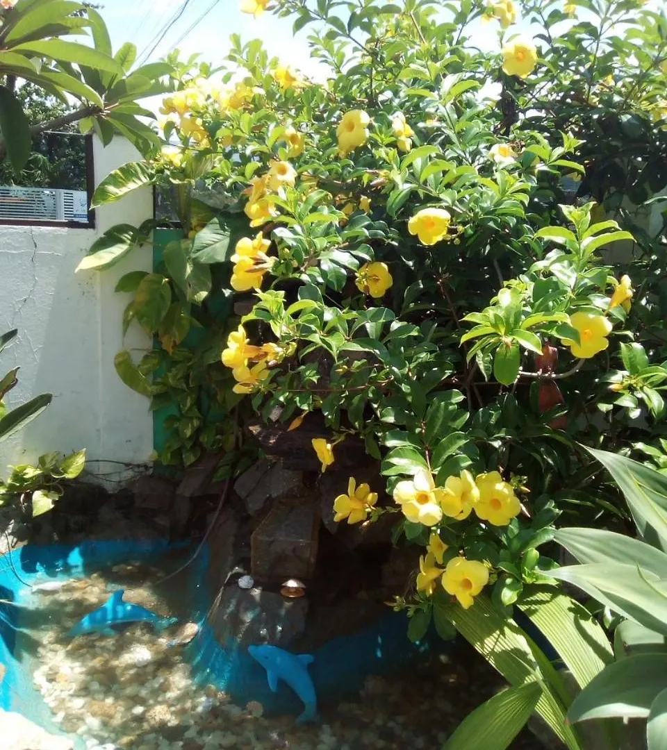 הוילה בומבינאס Residencial Susy